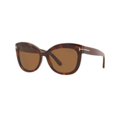 Tom Ford Sunglasses Women's Alistair Shiny Red Havana/Brown Polarized